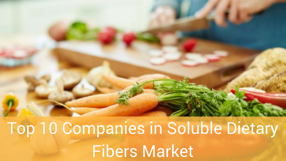 Top 10 Companies in Soluble Dietary Fibers Market