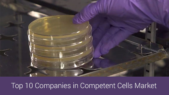 Competent cells market top companies