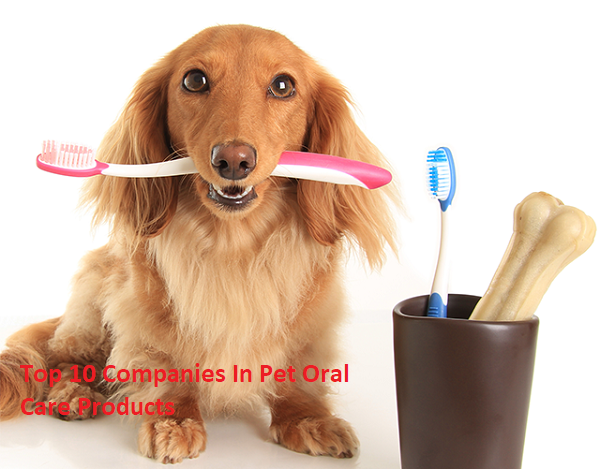 Top 10 Companies in Pet Oral Care Products | Meticulous Blog