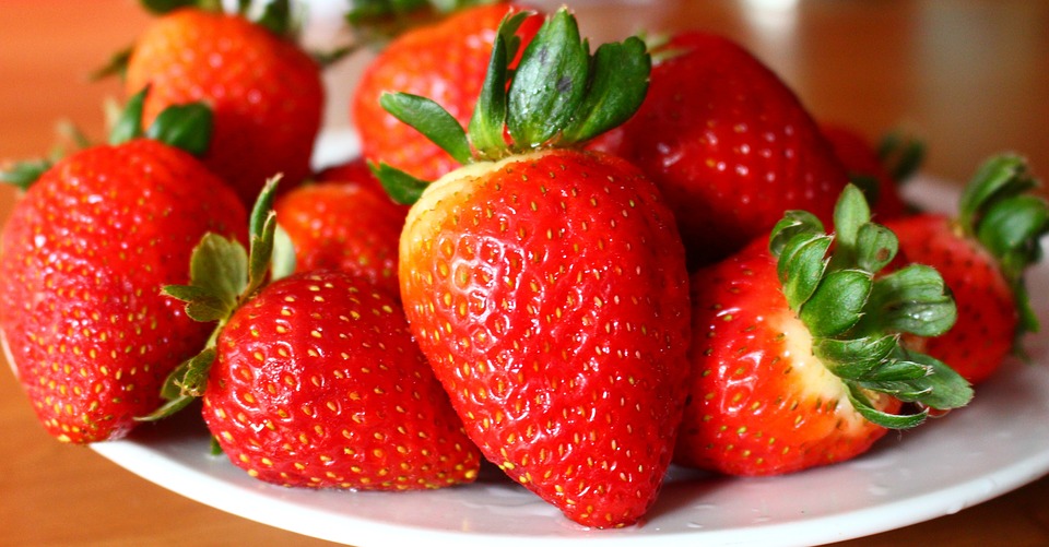 top companies in Natural Food Colors
