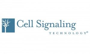 Cell Signaling Technology, Inc
