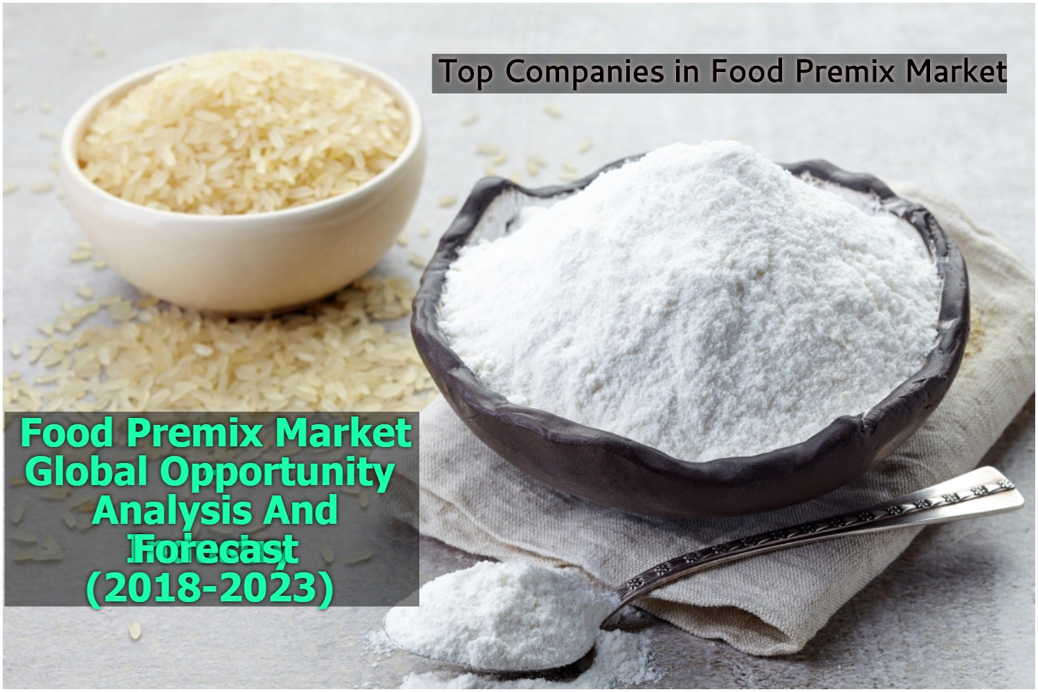 Food Premix Market