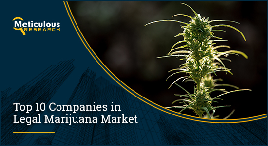 Legal Marijuana Market