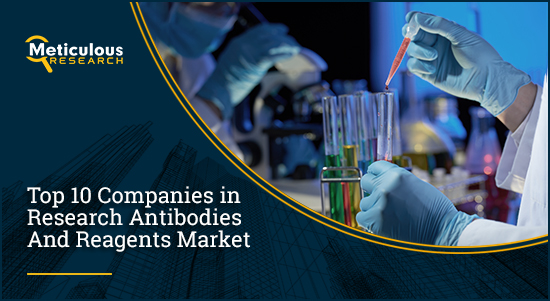 Research Antibodies and Reagents Market