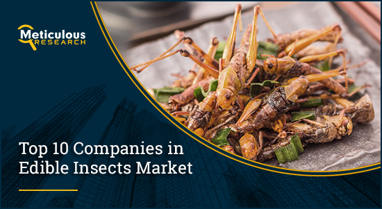 Edible Insects Market