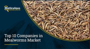 Mealworms Market