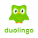 Duolingo Inc.