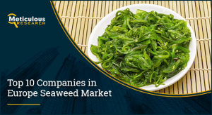 Europe Seaweed Market