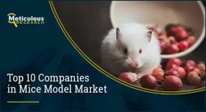 Mice Model Market