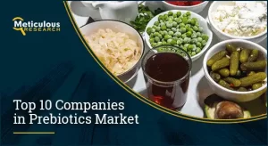 Prebiotics Market