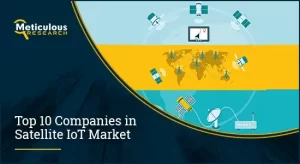 Satellite IoT Market