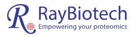 RayBiotech, Inc. (U.S.)
