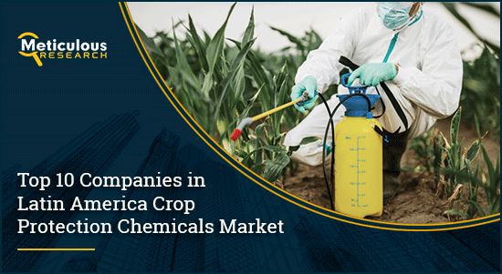 Top 10 Companies in Latin America Crop Protection Chemicals Market | Meticulous Blog