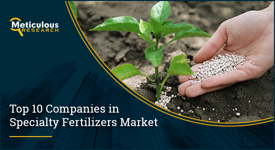 TOP 10 COMPANIES IN Specialty Fertilizers Market | Meticulous Blog