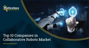 Top 10 companies In Collaborative Robot Market
