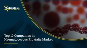 Haematococcus Pluvialis Market