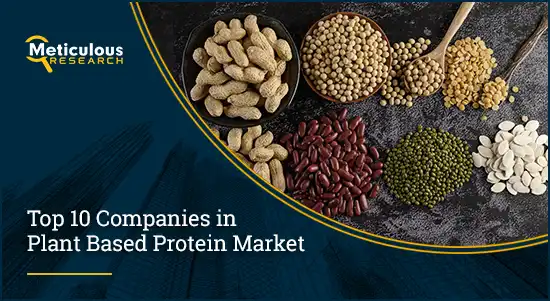 Plant-based Protein Market