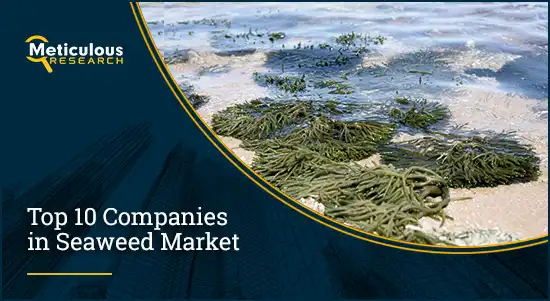 Seaweed Market