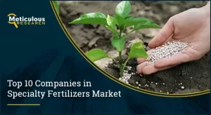 Specialty Fertilizers Market