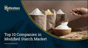 TOP 10 COMPANIES IN MODIFIED STARCH MARKET