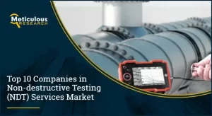 Non-destructive Testing Services Market