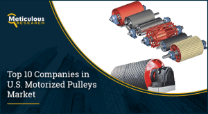 U.S. Motorized Pulleys Market