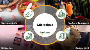 Microalgae Market