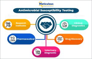 The rise of multidrug resistance, coupled with government initiatives and funding, is expected to drive growth in the antimicrobial susceptibility testing market