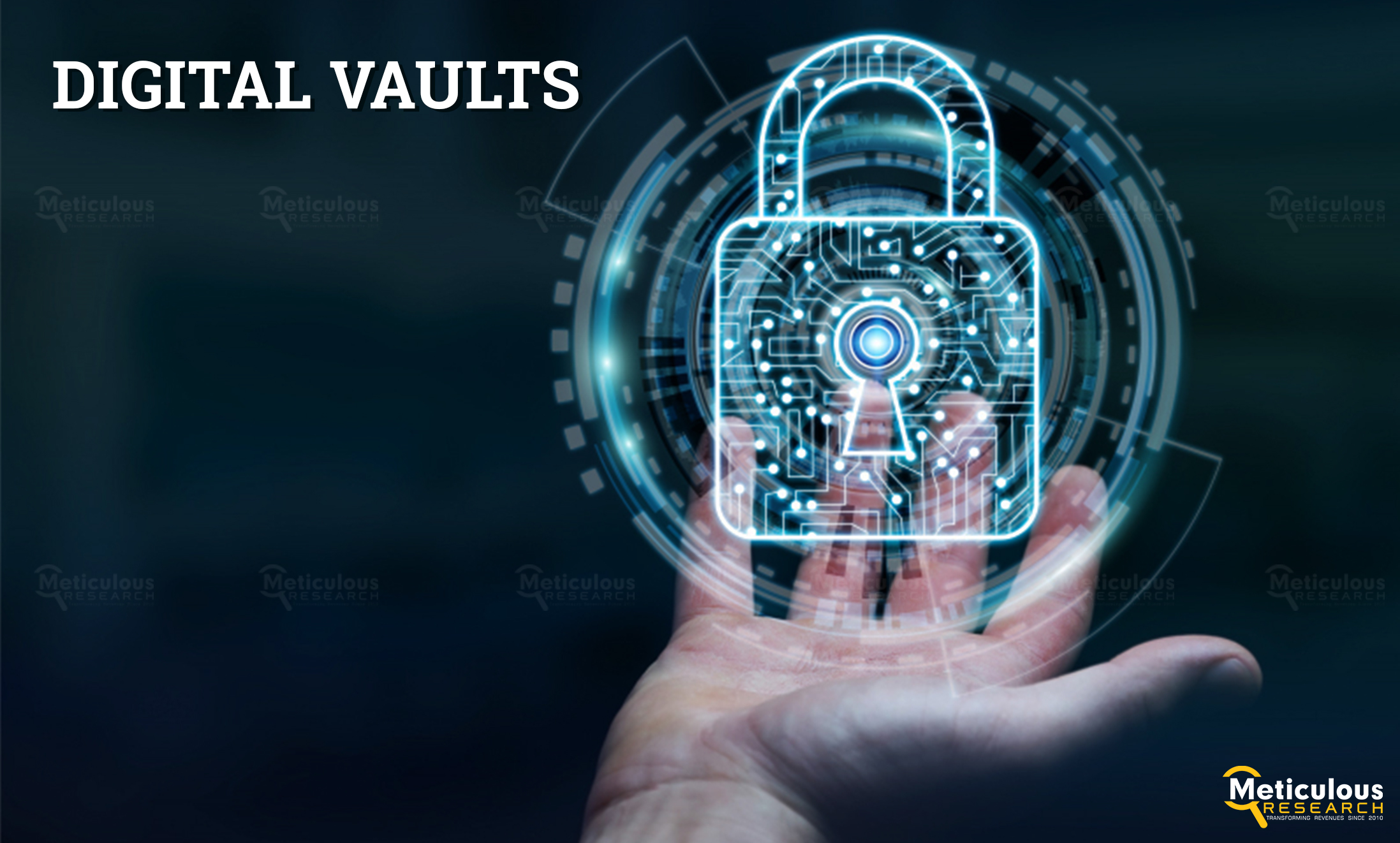 Digital Vaults Market