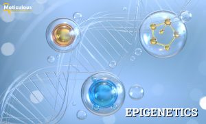 Epigenetic Market