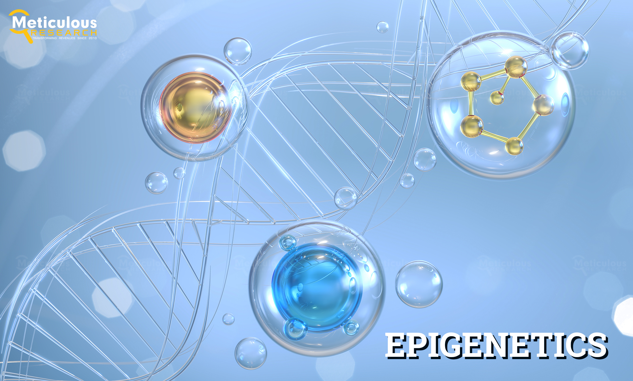 Epigenetic Market