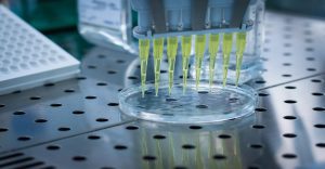 Rising Chronic Diseases, Personalized Medicine, and Expanding Applications of Multiplex Assays Propel Global Market Growth