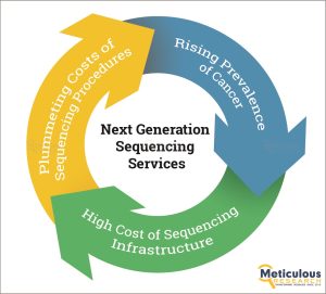 Technological Innovations Fueling Growth in the Next Generation Sequencing (NGS) Informatics Market