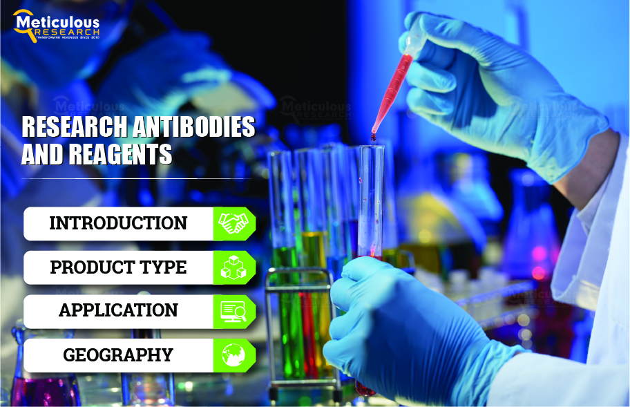 Rising Demand for Biomarkers: Fueling Growth in the Global Antibodies and Reagents Market | Meticulous Blog