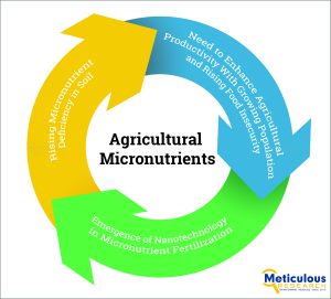 Increasing Micronutrient Deficiency in the Soil Spurs Demand for Agriculture Micronutrients