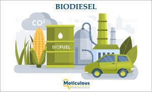 Biodiesel Market