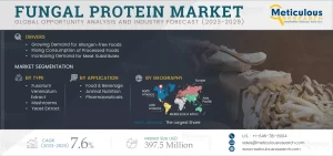 Fungal Protein Market