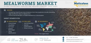 Mealworms Market 