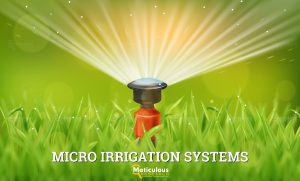 Rising Adoption of Micro-Irrigation Systems in Lawns and Gardens Fuels Market Growth