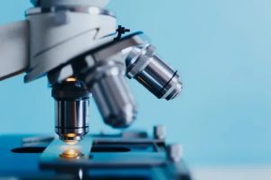 Advancing Research in Academic Institutions to Propel Growth of the Global Microscopy Market