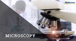 Microscopy Market