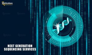 Next Generation Sequencing Services Market