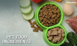 Pet Food Ingredients Market